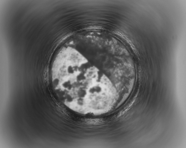 X0000095951121200802081252