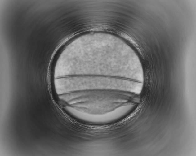 X0000095951122200802081252