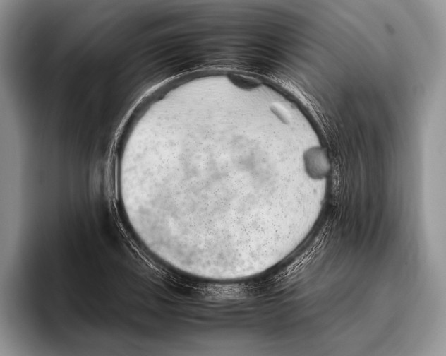 X0000095951123200802081252