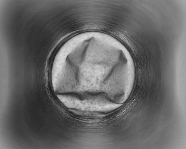 X0000095951124200802081252