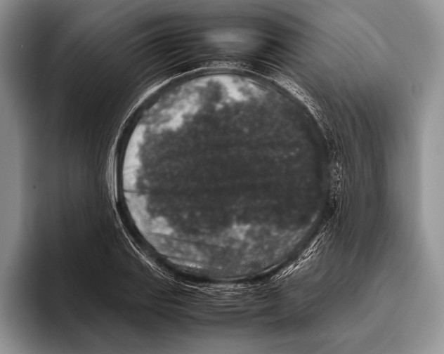 X0000095951127200802081252