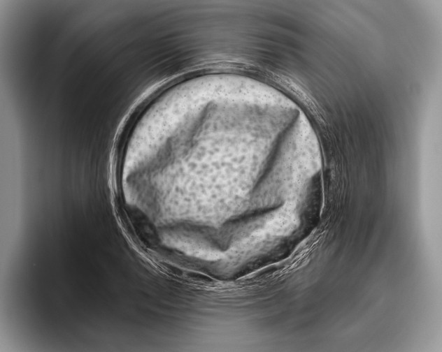 X0000095951128200802081252