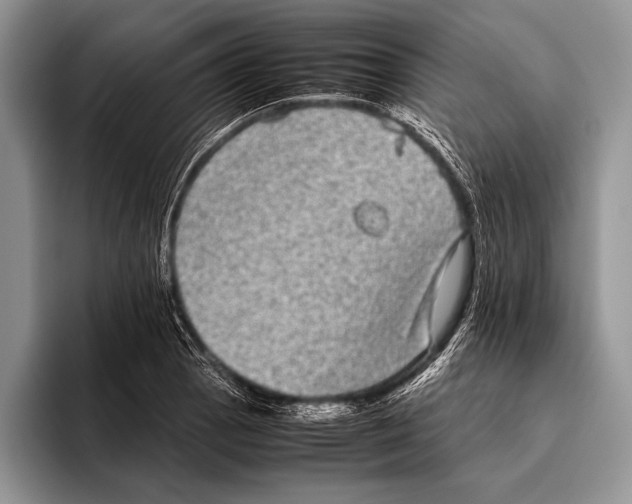 X0000095951129200802081252