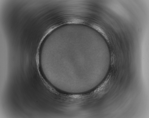 X0000095951130200802081252