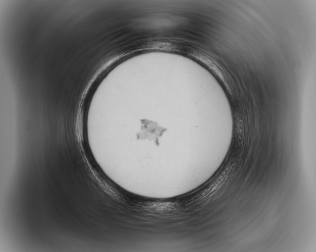 X0000095951131200802081252