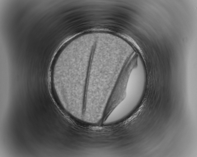 X0000095951133200802081252