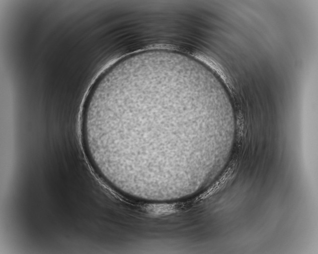 X0000095951135200802081252