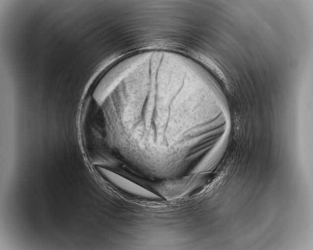 X0000095951138200802081252