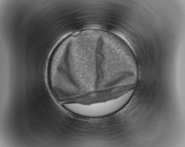 X0000095951139200802081252