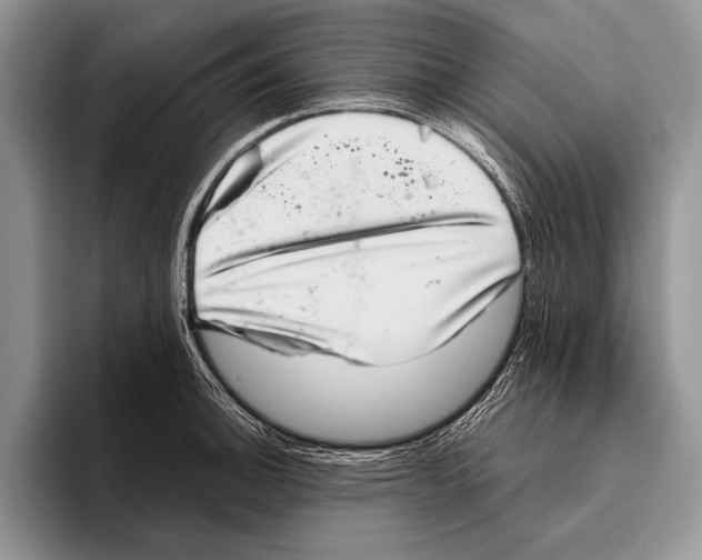 X0000095951140200802081252