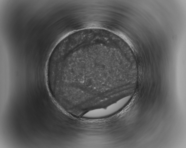 X0000095951142200802081252