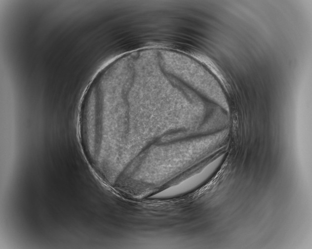 X0000095951143200802081252