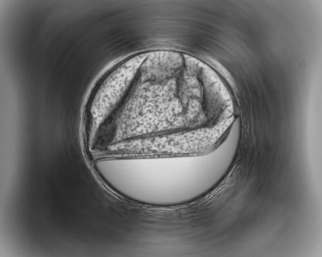 X0000095951144200802081252