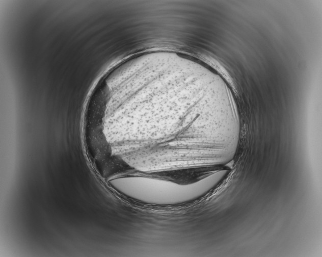 X0000095951146200802081252