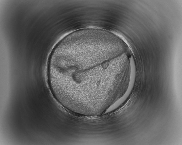 X0000095951147200802081252