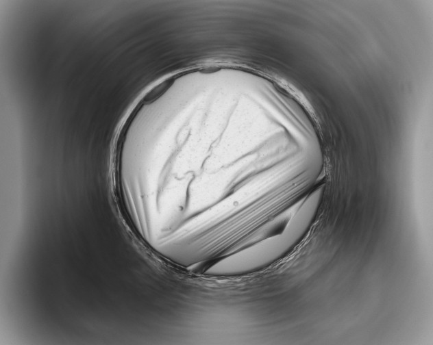 X0000095951148200802081252