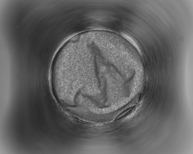 X0000095951149200802081252