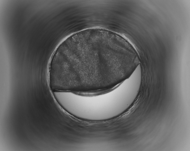 X0000095951151200802081252