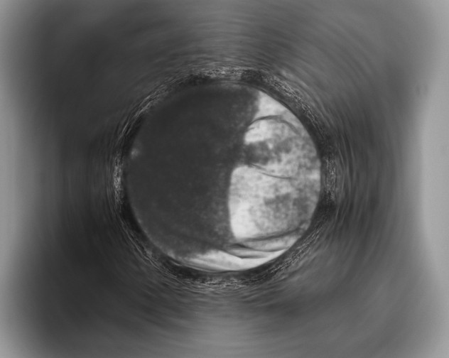 X0000095951154200802081251