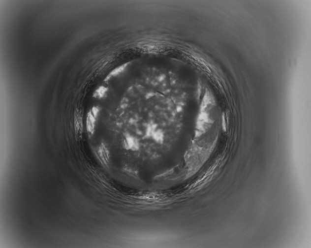 X0000095951155200802081251