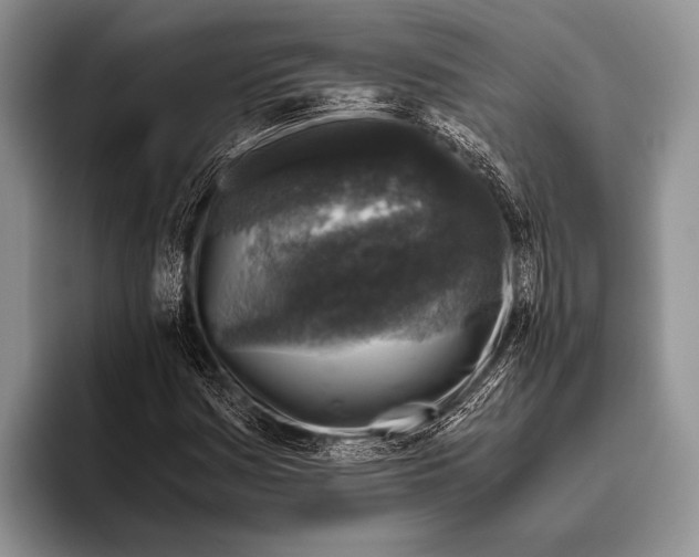 X0000095951161200802081251