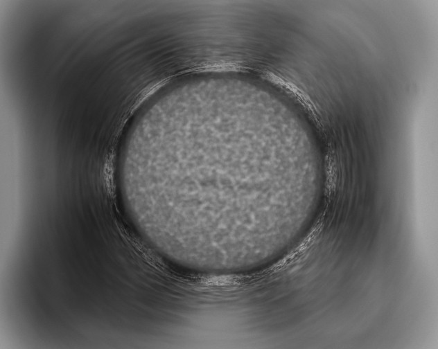 X0000095951162200802081251