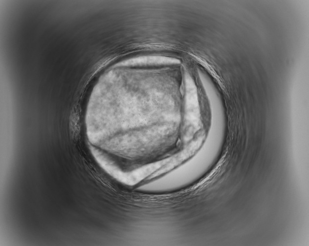 X0000095951163200802081251