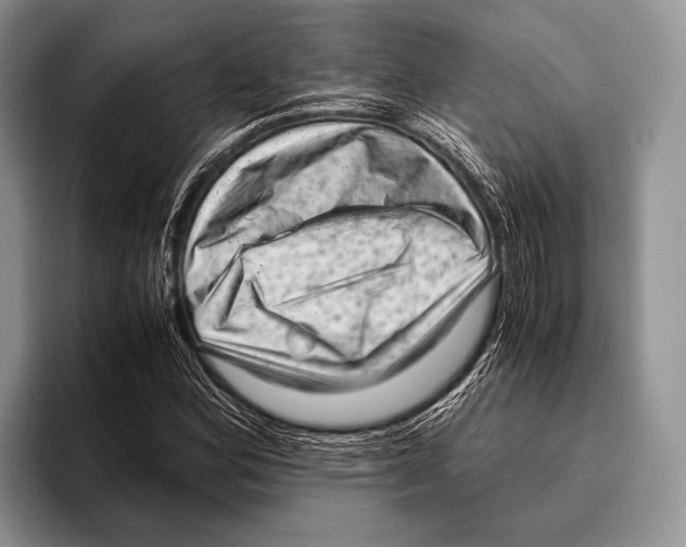 X0000095951164200802081251