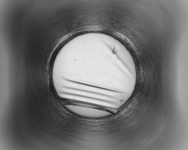 X0000095951168200802081251