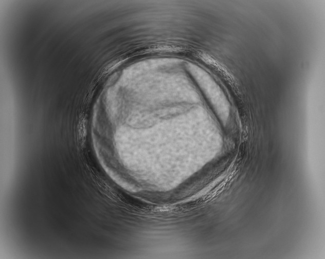 X0000095951169200802081251