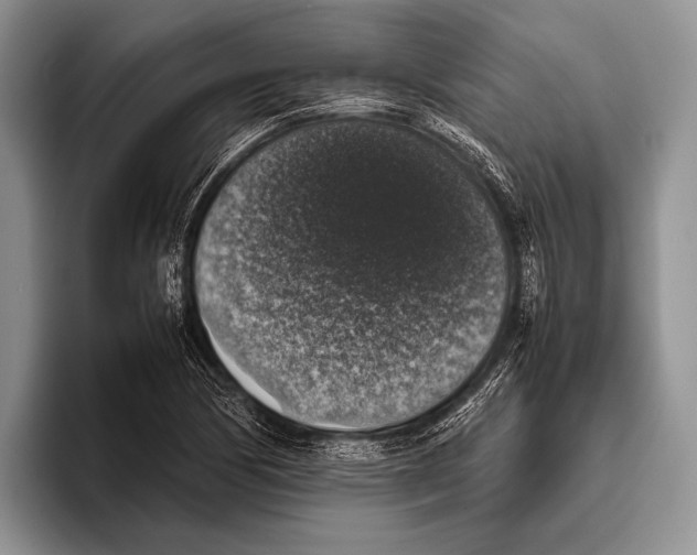 X0000095951170200802081251