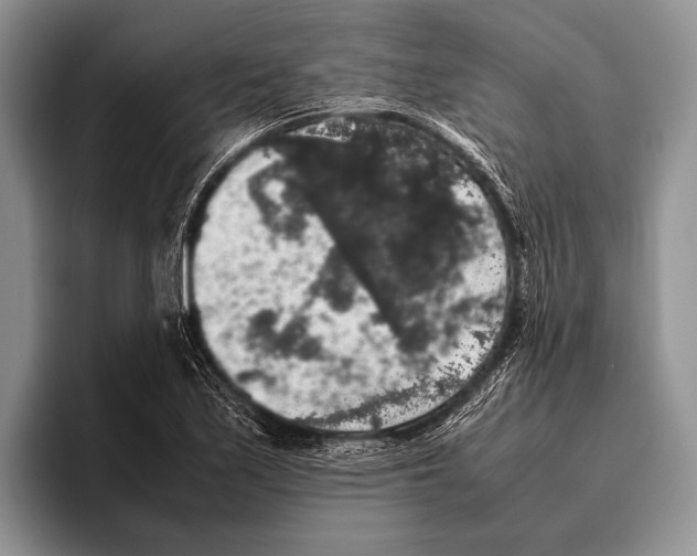 X0000095951171200802081251