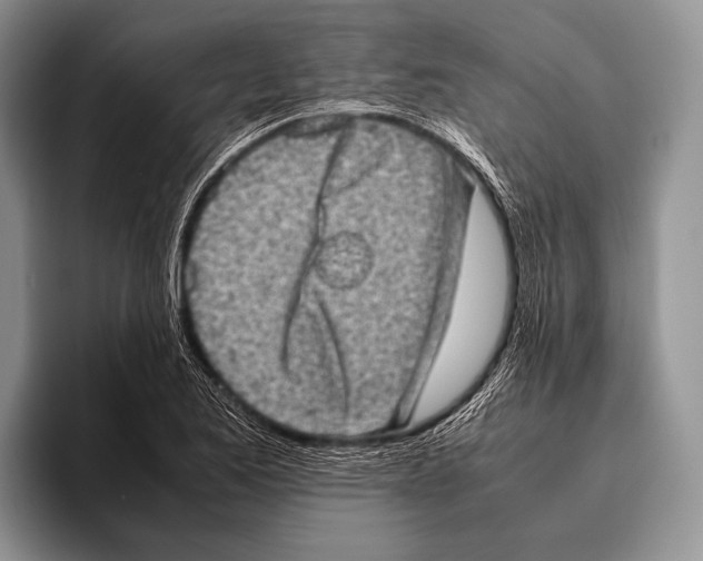 X0000095951173200802081251