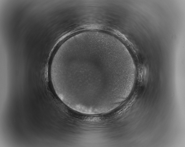 X0000095951174200802081251