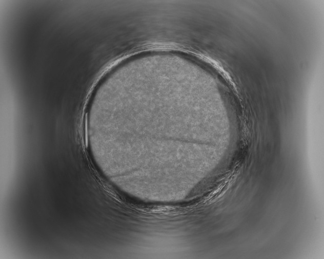 X0000095951175200802081251