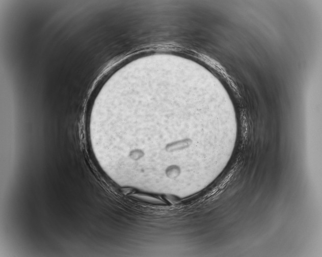 X0000095951176200802081251