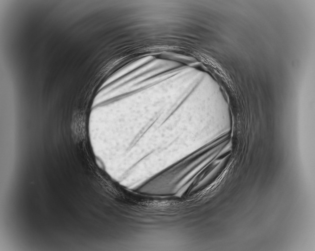 X0000095951177200802081251