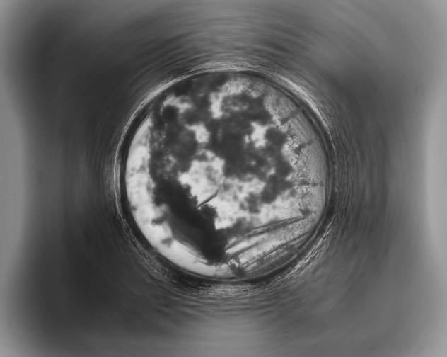 X0000095951179200802081251