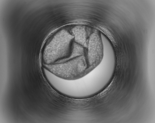 X0000095951180200802081251