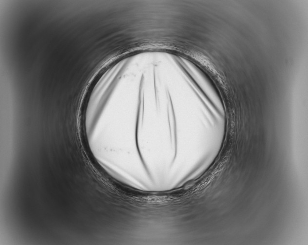 X0000095951181200802081251