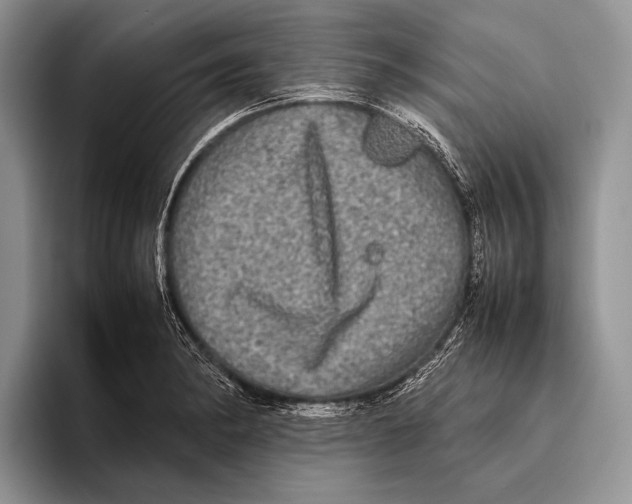 X0000095951182200802081251