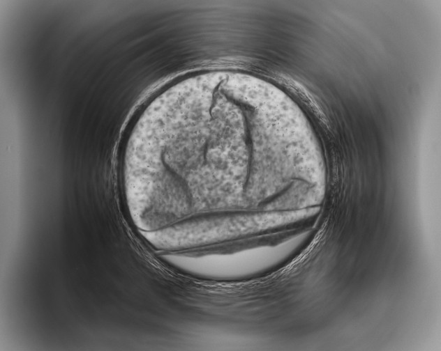 X0000095951184200802081251