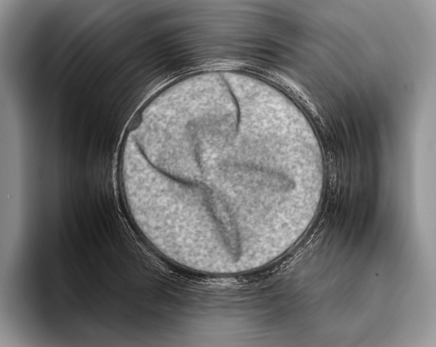 X0000095951186200802081251