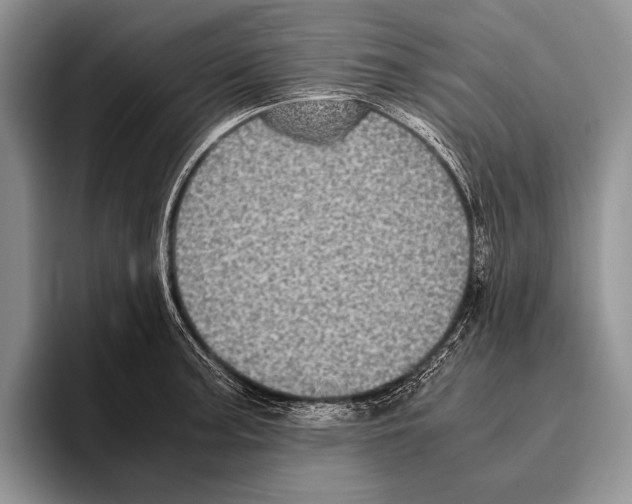 X0000095951187200802081251