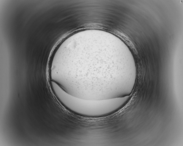 X0000095951188200802081251