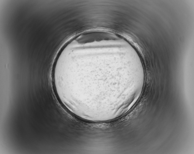 X0000095951189200802081251