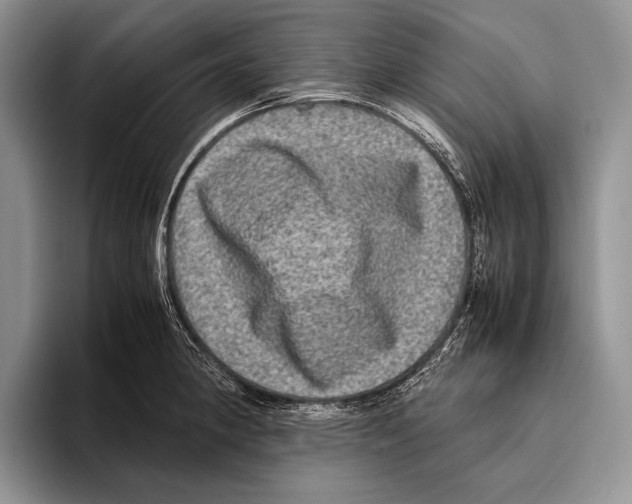 X0000095951190200802081251