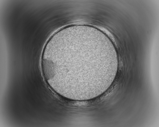 X0000095951191200802081251