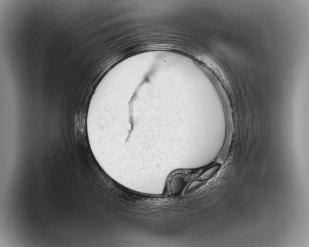 X0000095951193200802081251