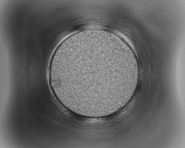 X0000095951195200802081251